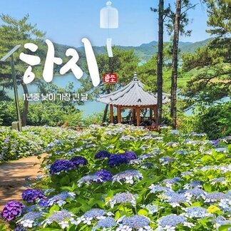 오늘은 #하지1