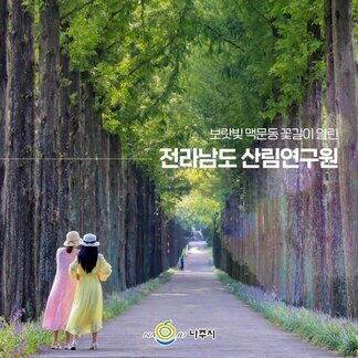 보랏빛 맥문동 꽃길사이 지금 예쁜 인생샷 도전해보세요~