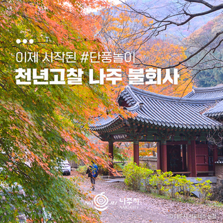 나주시 NAJU CITY, 이제 시작된 #단풍놀이 천년고찰 나주 불회사, 나주시 서포터즈 심철