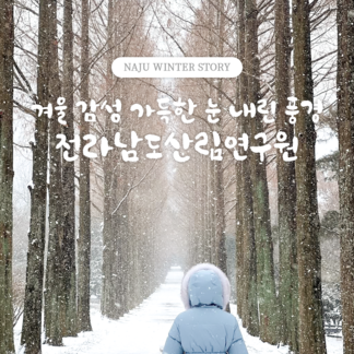 겨울 감성 가득한 눈 내린 풍경 @전라남도산림연구원 NAJU WINTER STORY