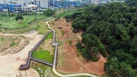 나주시, 배메산 꽃동산 조성 일환 층꽃나무 5만5천본 식재2