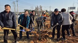 나무를 삽으로 묻으며 웃고있는 주민들