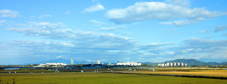 10월 23일 논과 도시를 찍은 사진