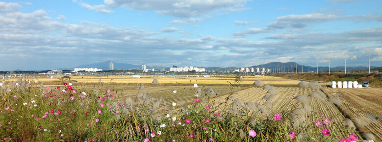 10월 23일에 촬영 된 벼 수확이 끝난 논의 모습