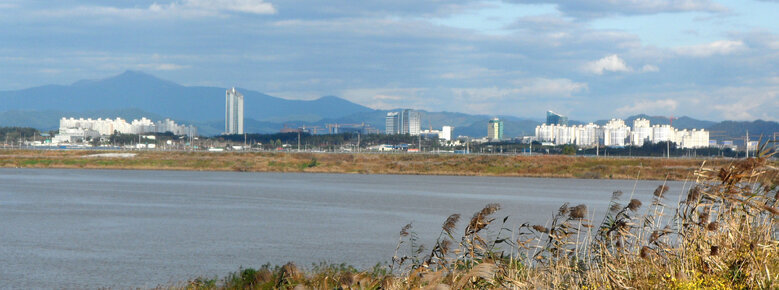억새와 강 그리고 건너편에 보이는 혁신도시의 풍경