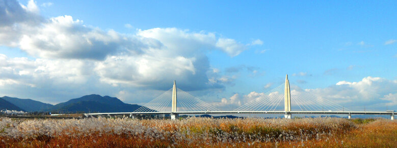 2014년 11월 4일 갈대와 대교가 보이는 파란하늘속의 풍경