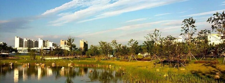 2015년 여름 혁신도시의 전경. 호수와 나무, 풀들로 조경이 가꾸어져있다