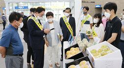 나주역 나주배 홍보 행사