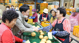 태풍 힌남노 대비 배농가 방문