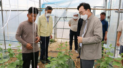 태풍 힌남노 대비 메론농가 방문
