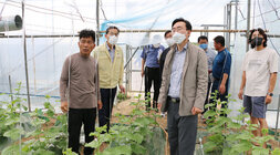 태풍 힌남노 대비 메론농가 방문