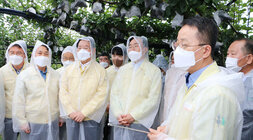 태풍 '힌남노' 북상 대비 전남도지사 배농가 방문