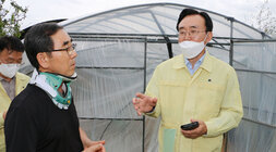 태풍 '힌남노' 북상 대비 시설하우스 방문