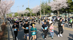 제9회 나주 영산강 마라톤대회 참가자들이 마라톤 코스 위를 달리고 있는  모습 10km코스