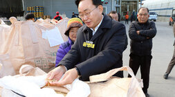 봉황농협 APC 수매현장 방문 나주시장이 손바닥에 올려놓은 믹곡을 톤백에 다시 담고 있는 모습