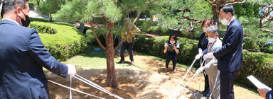 윤병태 나주시장과 관계자들이 줄을 당기고 있는 모습