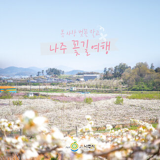 나주 꽃길여행! 이번주 시작입니다:) 