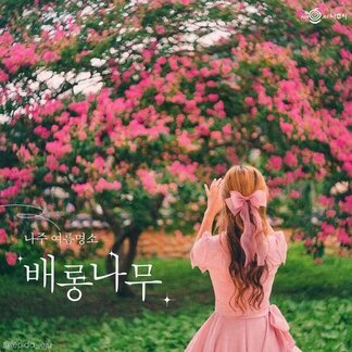 나주 배롱나무 여름명소