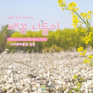 이번 주 배꽃 나들이 준비 되셨나요? 