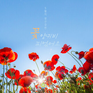 5월 영산강변에는~ 