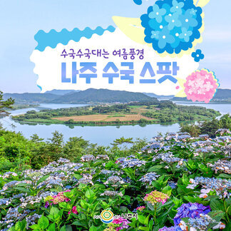 수국수국대는 여름풍경~ 나주 수국 스팟