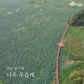 꽃이 방긋방긋~ 조금씩 피어나고 있는 나주 우습제:)