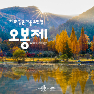 해외 같은 가을 뷰맛집 오봉제, 나주시 세지면 오봉리, 나주시 NAJU CITY