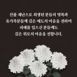 깊은 위로의 마음을 전합니다