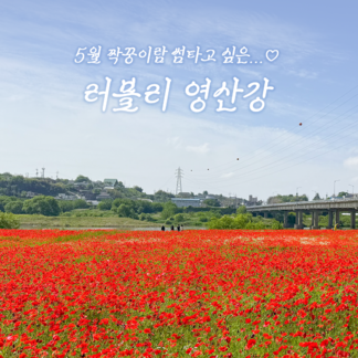 짝꿍이랑 썸타고 싶은 러블리 영산강 