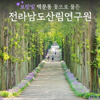 전라남도산림연구원