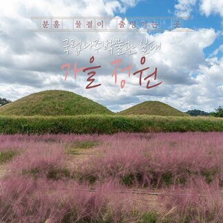 [국립나주박물관] 올가을, 나주에서 분홍빛 추억을 담아가세요