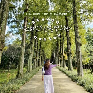 나주의 힐링 명소, 전라남도산림연구원