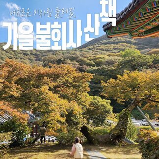 가을에 물든 나주 불회사