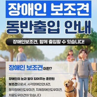 카드뉴스