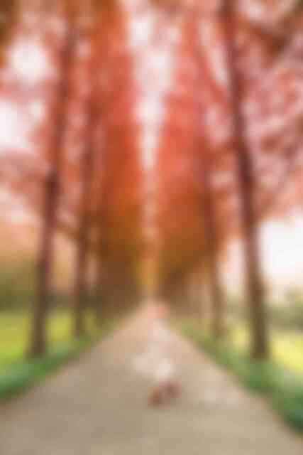 산림자원연구소 산림자원연구소