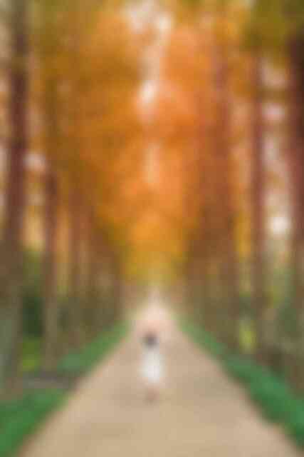 산림자원연구소 산림자원연구소