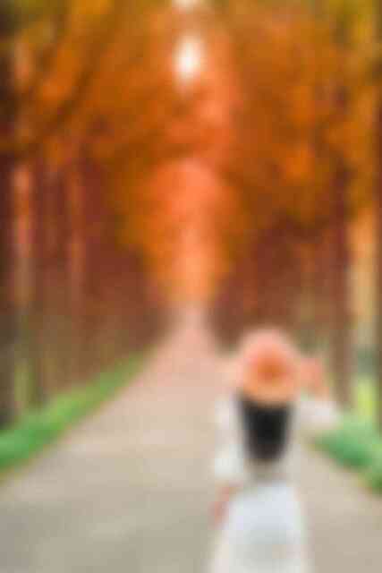 산림자원연구소 산림자원연구소