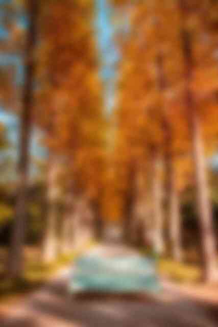 산림자원연구소 산림자원연구소