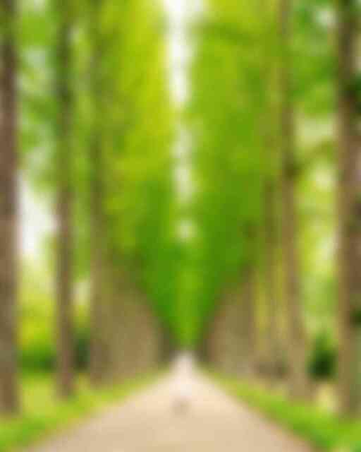 산림자원연구소 산림자원연구소