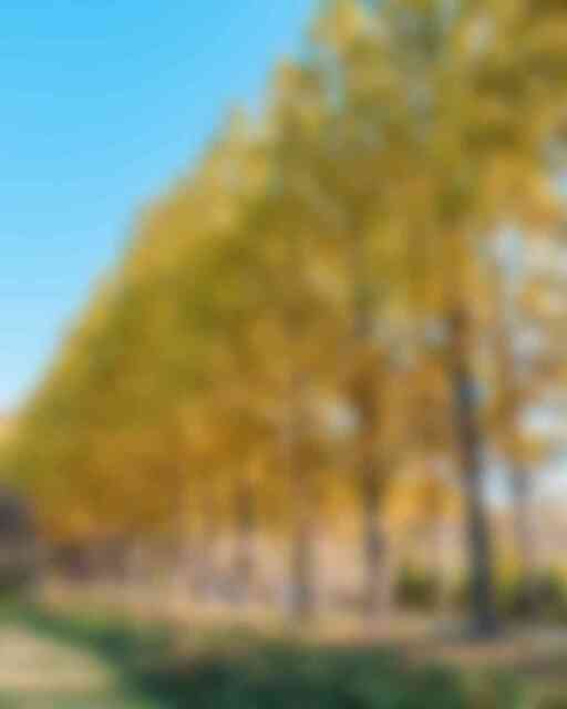 산림자원연구소 산림자원연구소