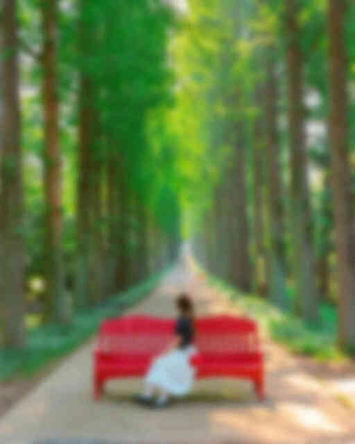 산림자원연구소 산림자원연구소