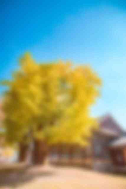 금성관 전경 금성관 전경