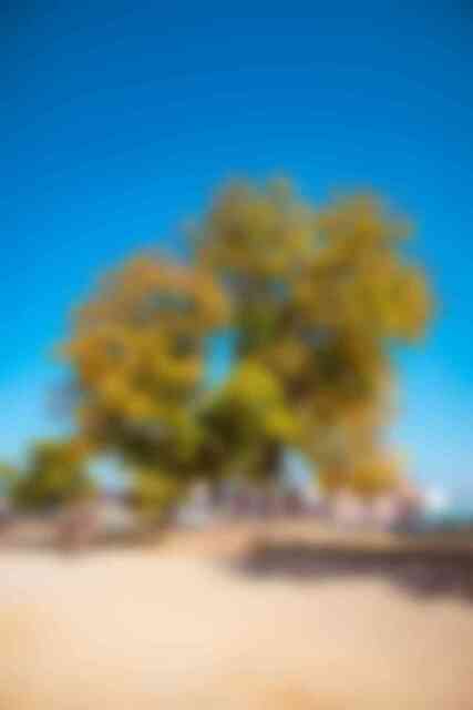 금성관 전경 금성관 전경