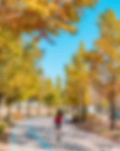 빛가람호수공원과 전망대