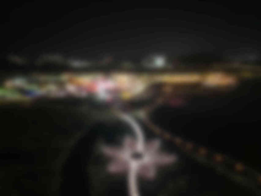 코스모스가 만개한 모습 코스모스가 만개한 모습