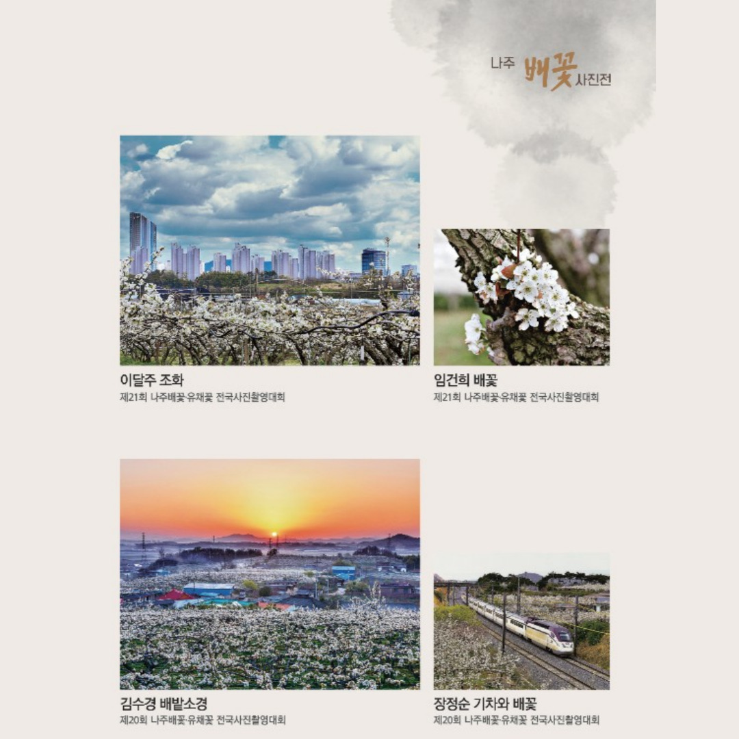 나주 배꽃 사진기획전