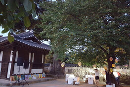 나주의 명소 금학헌