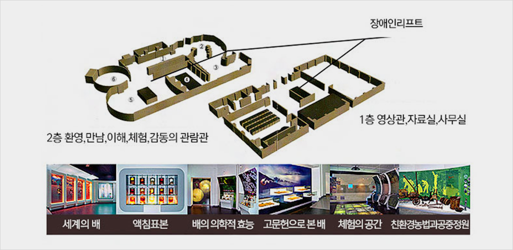 전시공간안내도로 1층 영상관,자료실,사무실이 위치해 있고 건물 한가운데 장애인리프트가 설치되어있습니다. 2층에는 환영,만남,이해,체험,감동의 관람관이 배치되어 있으며, 기타 공간으로 세계의 배, 액침표본, 배의 의학적 효능, 고문헌으로 본 배, 체험의 공간, 친환경농법과 공중정원이 있습니다. 자세한 내용은 아래 설명을 참고하세요.