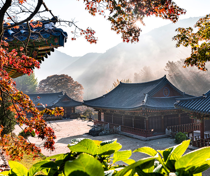 가을 단풍으로 둘러싸인 나주불회사 모습 