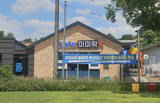 마을어르신과 함께걷고있는 당나귀